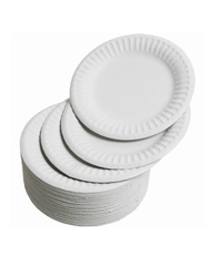 Paper Plates 6" Pack 100
