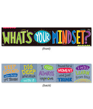 What's Your Mindset? Banner (2-sided) - 39" x 8"