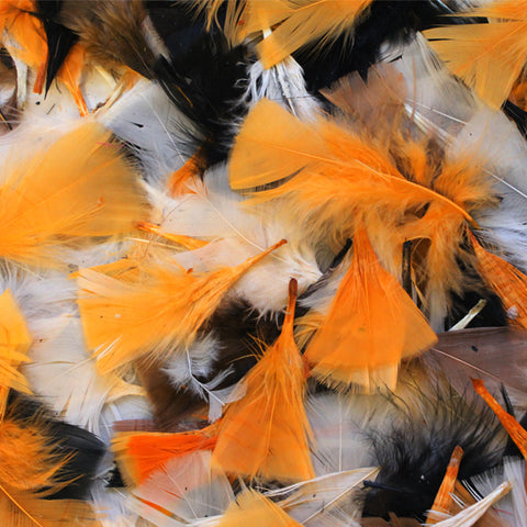 Halloween-Coloured Natural Feathers 50g