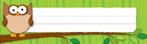 Desk Top Name Plates - Owls Pack of 36