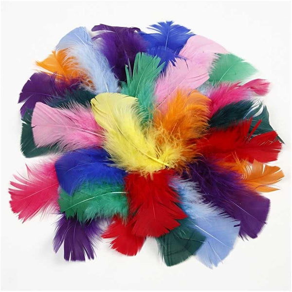Feathers - Classroom Pack Assorted Colours 50gm 7-8cm