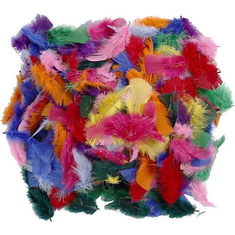 Feathers - Classroom Pack Assorted Colours 50gm 7-8cm
