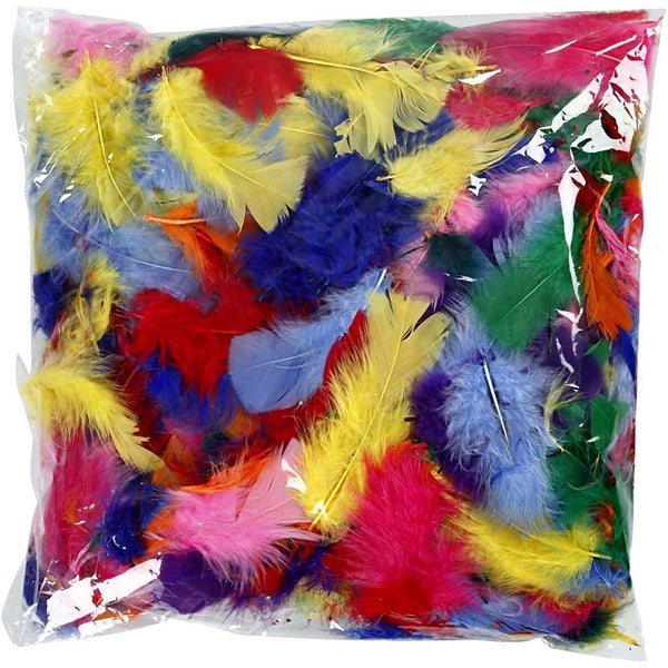 Feathers - Classroom Pack Assorted Colours 50gm 7-8cm