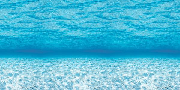 Fadeless Paper Roll Under The Sea 121.9cm x 3.6m