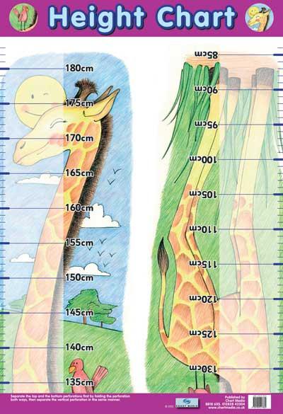 Poster 60cm x 40cm - Height Chart