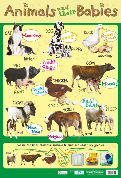 Poster 60cm x 40cm -  Animals & Their Babies