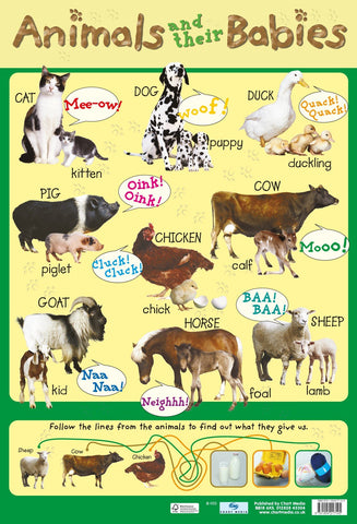 Poster 60cm x 40cm -  Animals & Their Babies