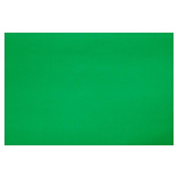 Fadeless Paper Roll Apple Green 121.9cm x 3.6m