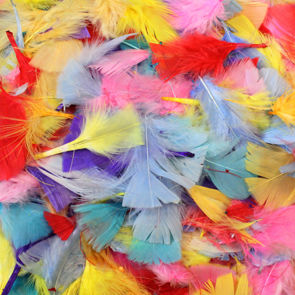 Collage Feathers - Mixed Colours (50gm approx.)