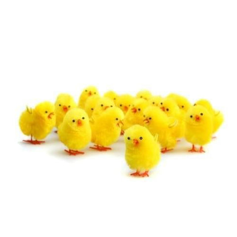 Fluffy Chicks - Pack of 12