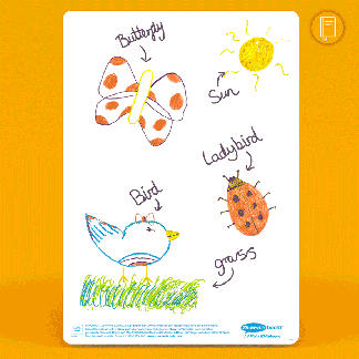 Show-me Class Pack 35 x A4 Plain Drywipe Boards, Dry-wipe Pens & Mini Foam Erasers