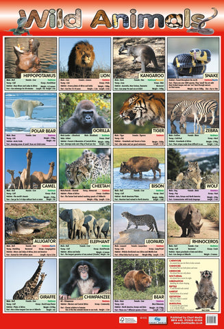 Poster 60cm x 40cm - Wild Animals