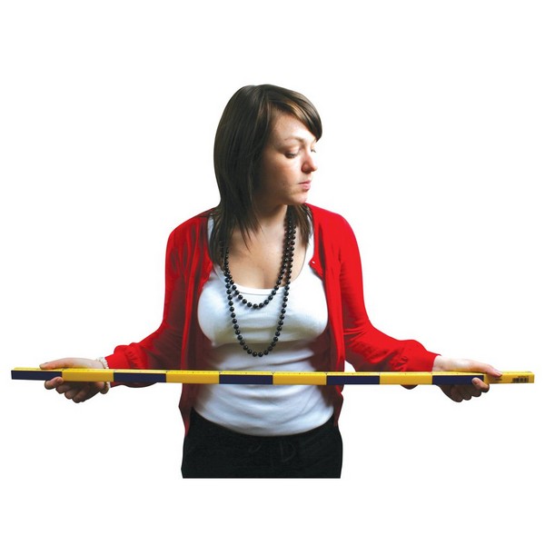 Teacher Counting Stick