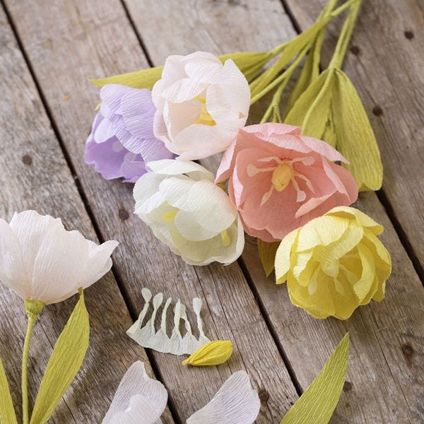 Crepe Paper Assorted Pastel Colours 8 Rolls